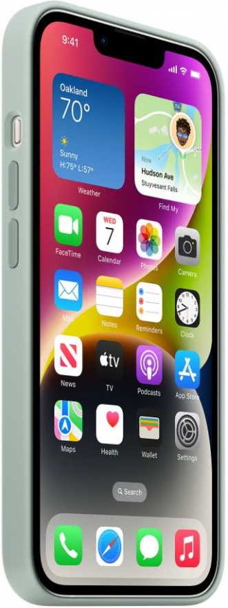 картинка Чехол силиконовый Apple MagSafe для iPhone 14 (нежный кактус) от магазина Технолав