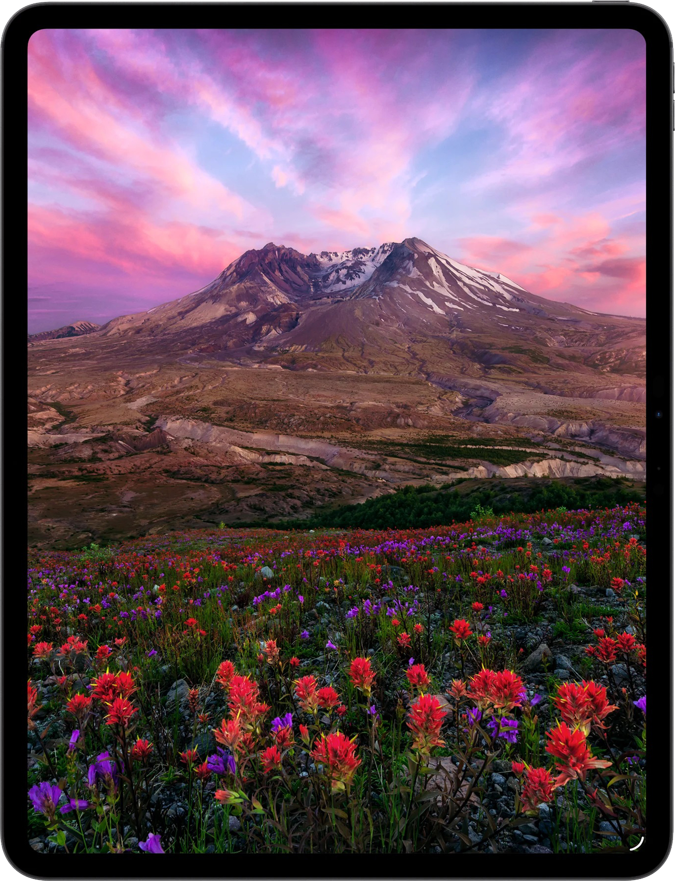 картинка Планшет Apple iPad Pro 11 M5 (2025) 512GB Wi-Fi Silver (серебристый) от магазина Технолав