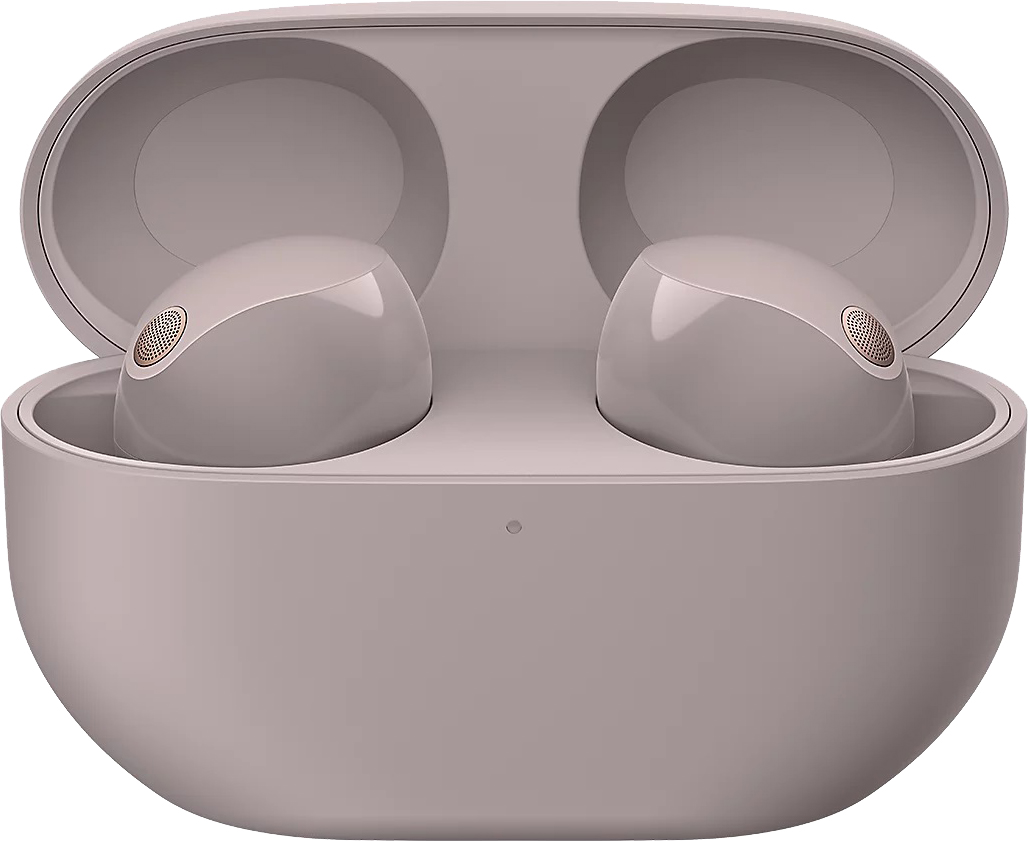 картинка Беспроводные наушники Sony WF-1000XM5, розовый от магазина Технолав