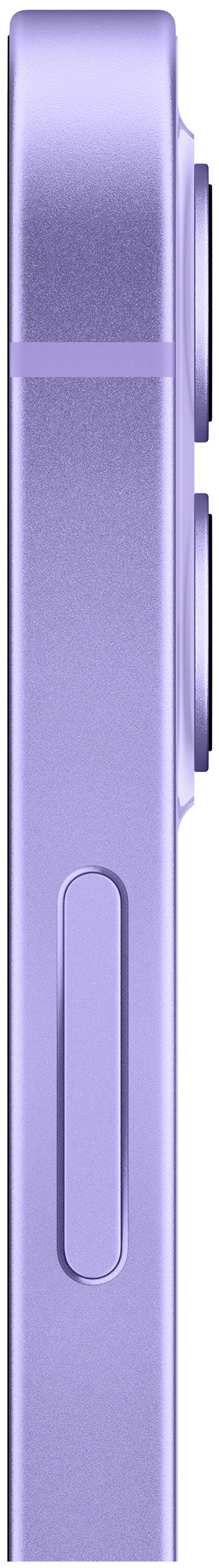 картинка Смартфон Apple iPhone 12 128GB (фиолетовый) EU от магазина Технолав