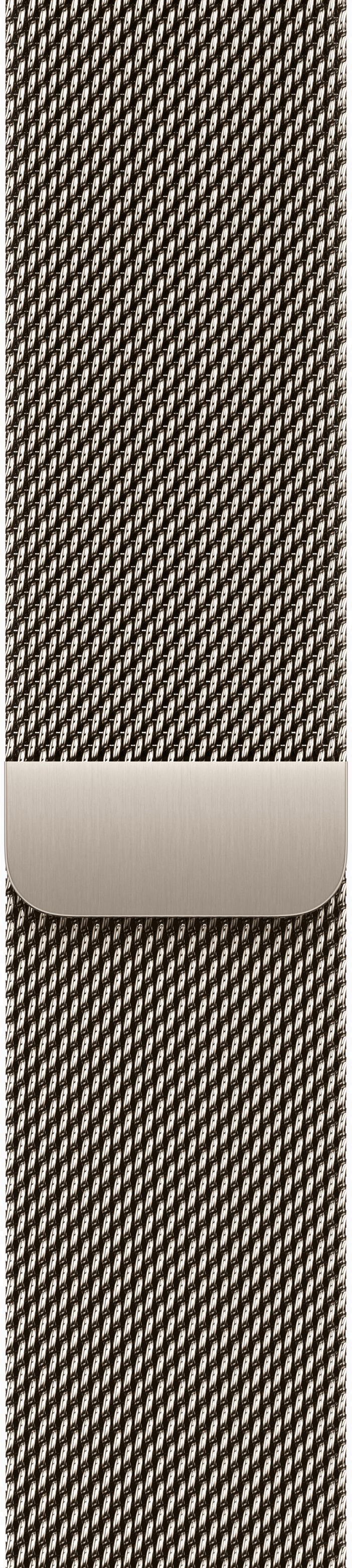 картинка Умные часы Apple Watch Series 11 46mm Natural Titanium Case with Natural Milanese Loop от магазина Технолав
