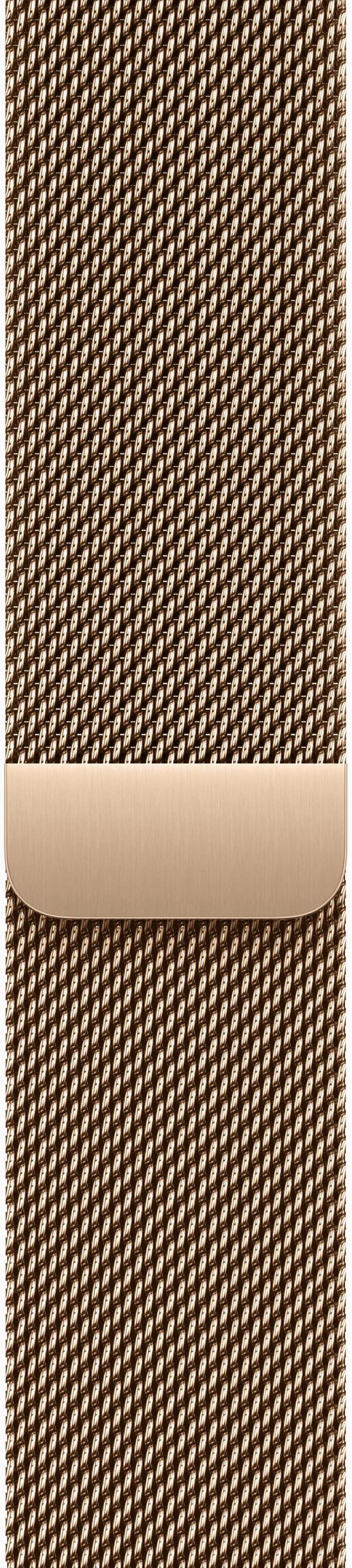 картинка Умные часы Apple Watch Series 11 46mm Gold Titanium Case with Gold Milanese Loop от магазина Технолав