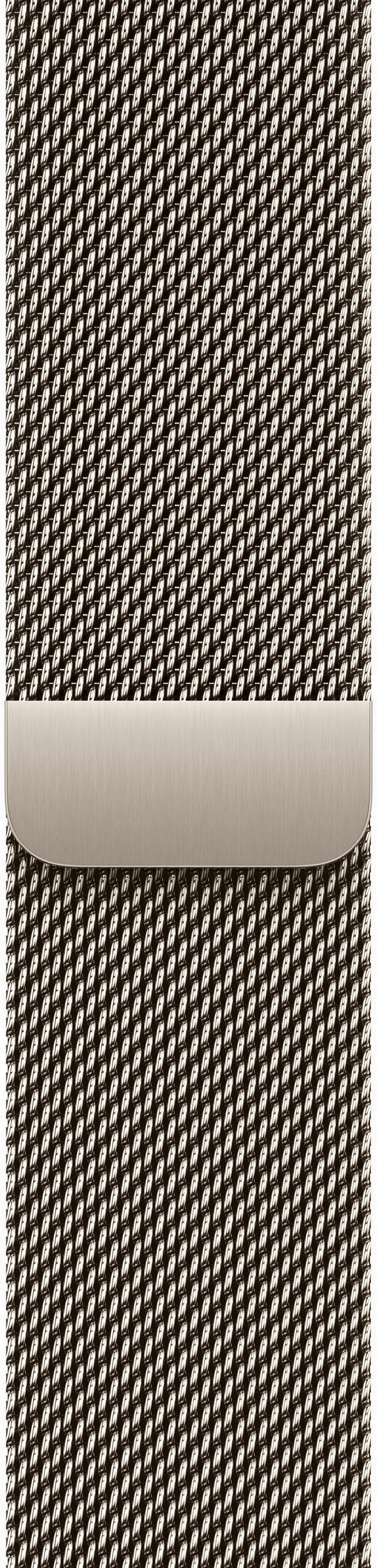 картинка Умные часы Apple Watch Series 11 42mm Natural Titanium Case with Natural Milanese Loop от магазина Технолав