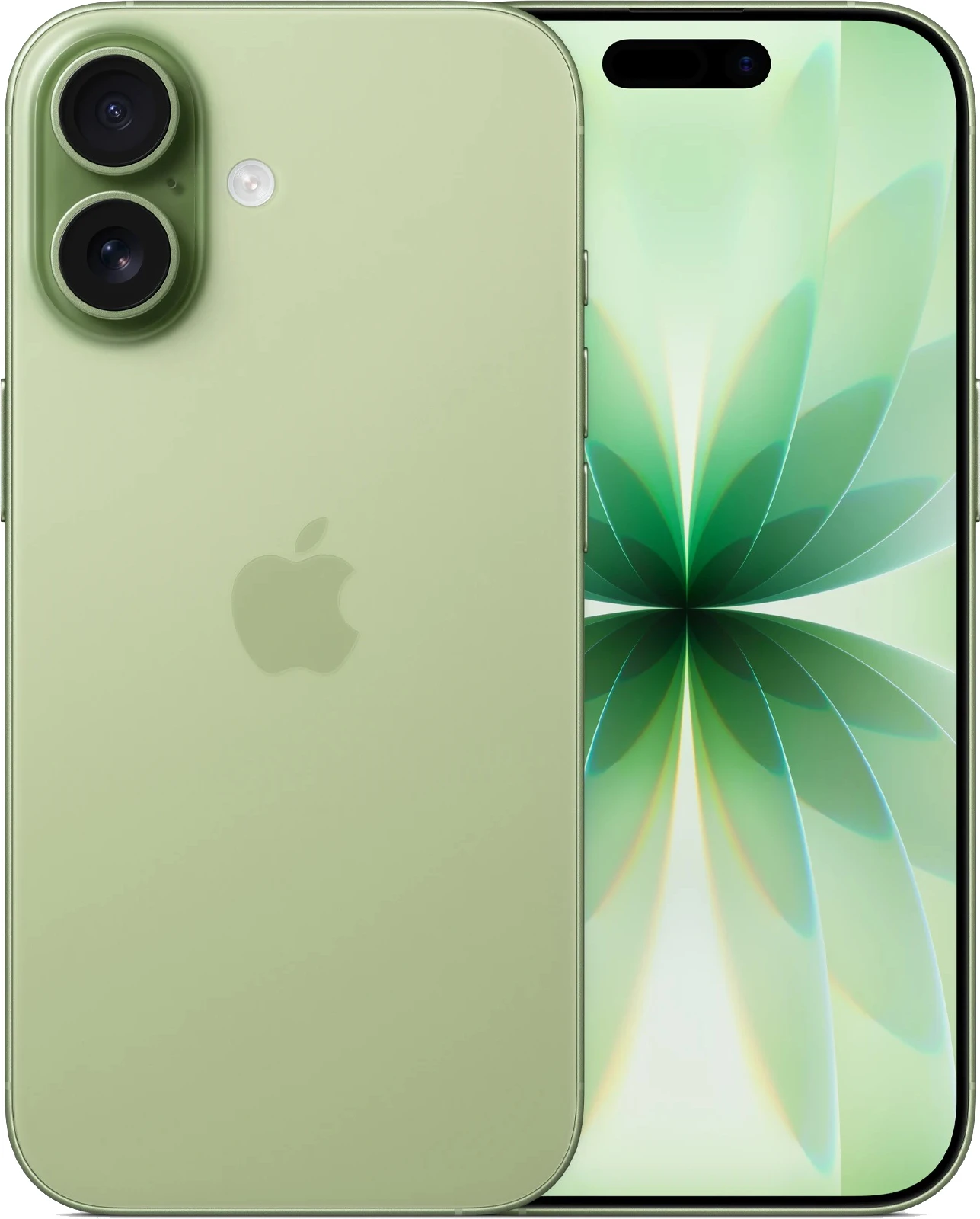Смартфон Apple iPhone 17 256GB Sage (зеленый) - купить в магазине Технолав