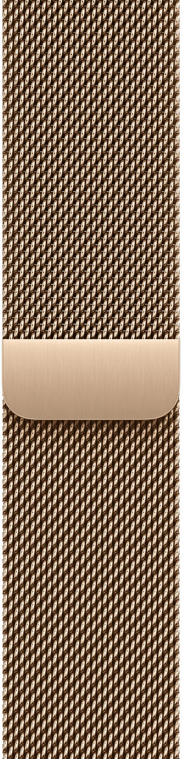 картинка Умные часы Apple Watch Series 11 42mm Gold Titanium Case with Gold Milanese Loop от магазина Технолав