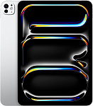 Планшет Apple iPad Pro 11 M5 (2025) 256GB Wi-Fi + Cellular Silver (серебристый) ACT