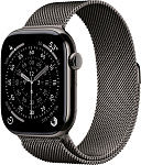 Умные часы Apple Watch Series 11 46mm Slate Titanium Case with Slate Milanese Loop